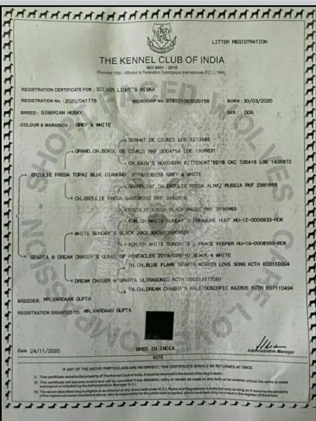 KCI Certificate of Registration of the Sire